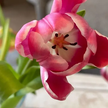 Boddenkieker 04 아파트